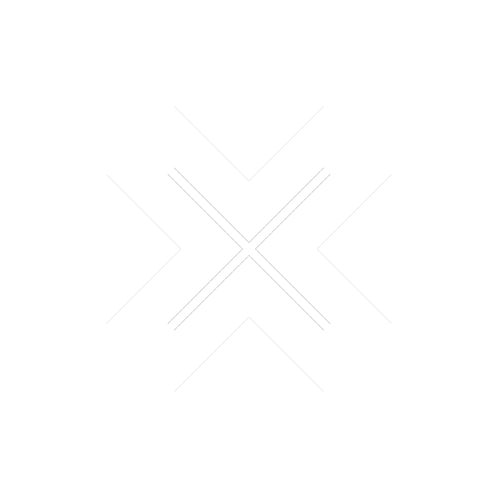 XFLY Logo